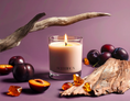 Load image into Gallery viewer, Plum + Cedar Soy Candle
