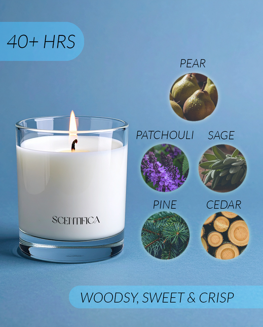 Ain´t My First Rodeo Soy Candle