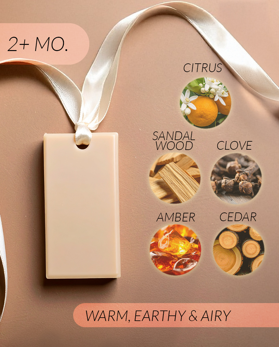 Amber + Driftwood Coconut Soy Wax Closet Fresheners