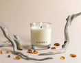 Load image into Gallery viewer, Amber + Driftwood Soy Candle
