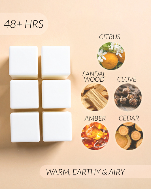 Amber + Driftwood Coconut Soy Wax Melts