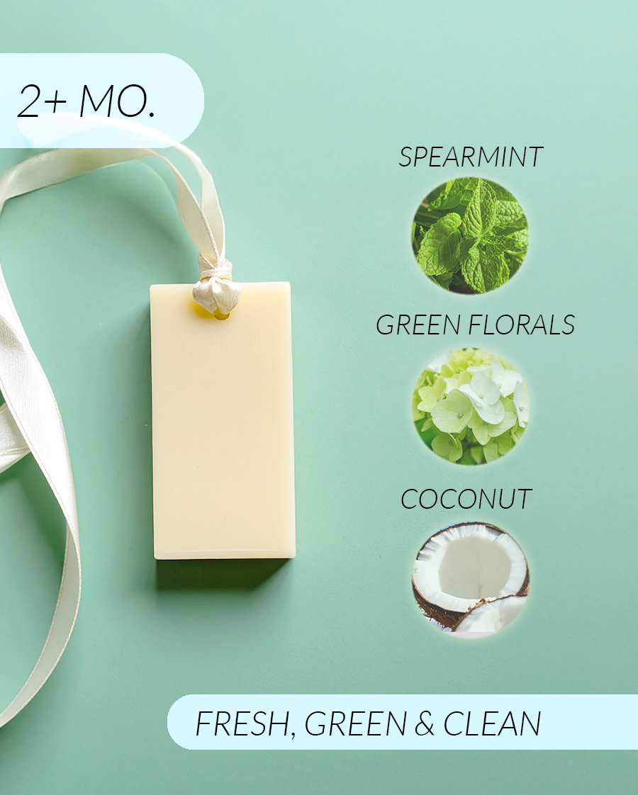 Bamboo + Coconut Coconut Soy Wax Closet Fresheners