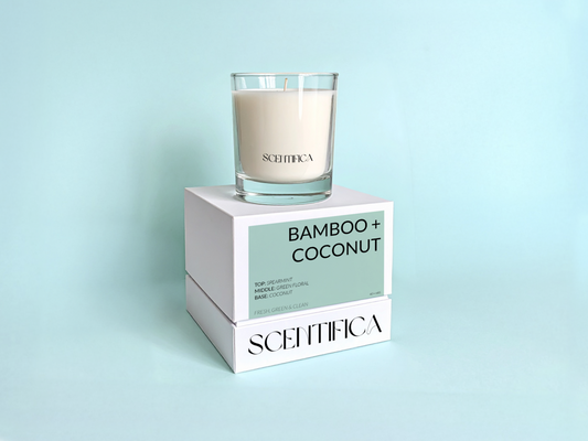 Bamboo + Coconut Soy Candle