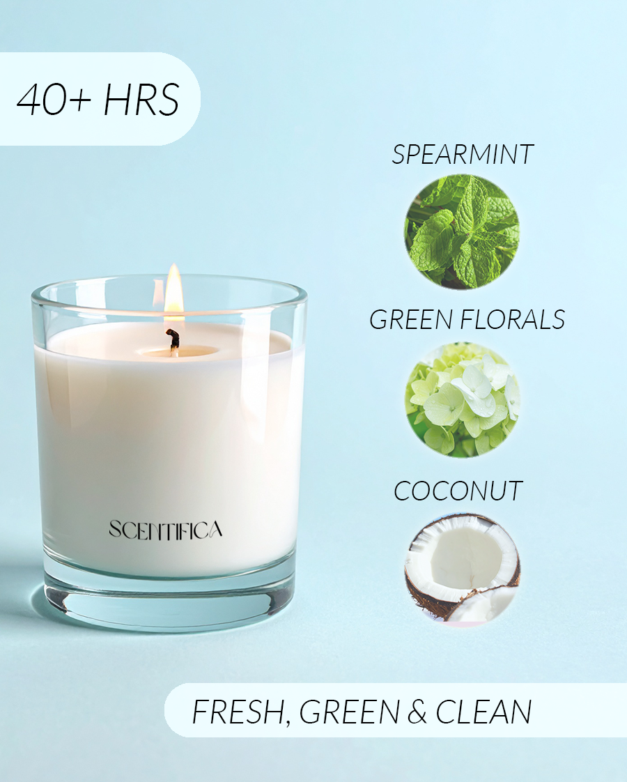 Bamboo + Coconut Soy Candle