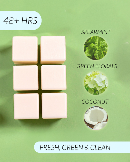 Capricorn Coconut Soy Wax Melts