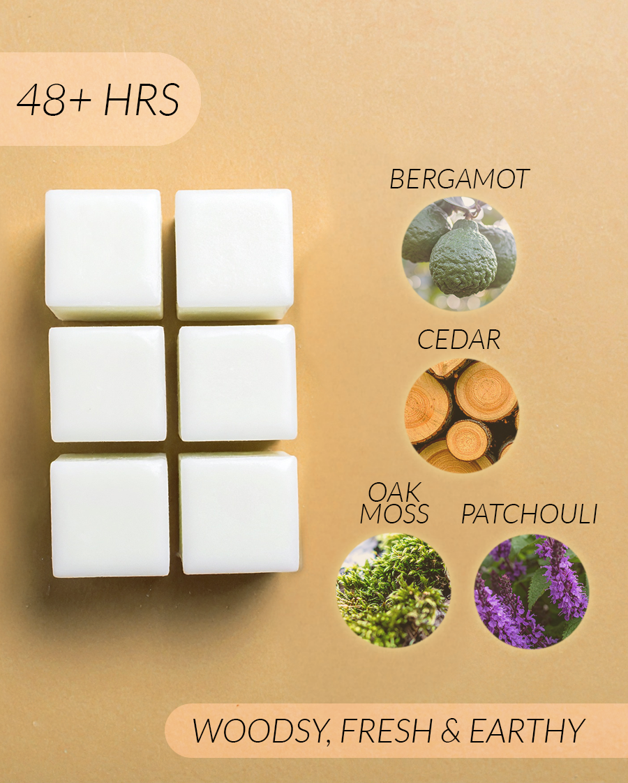 Cedar + Camphor Coconut Soy Wax Melts