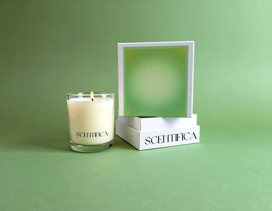 Focus Soy Candle