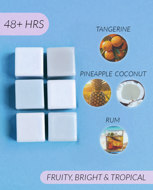 Gemini Coconut Soy Wax Melts