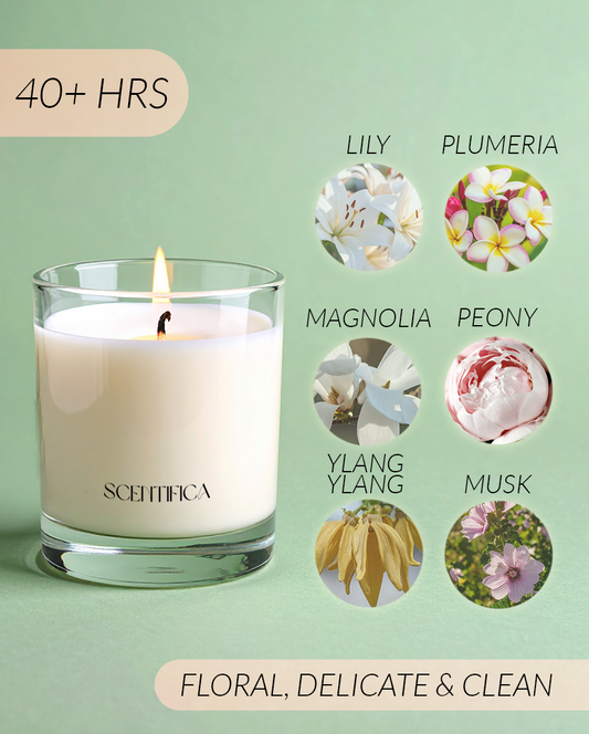 Hey Y'all Soy Candle