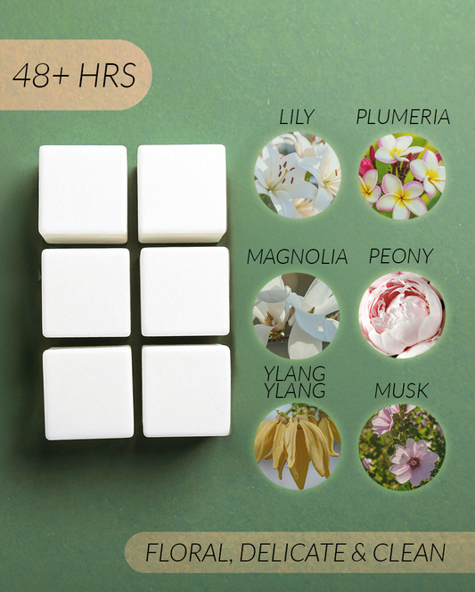 Hey Y'all Coconut Soy Wax Melts