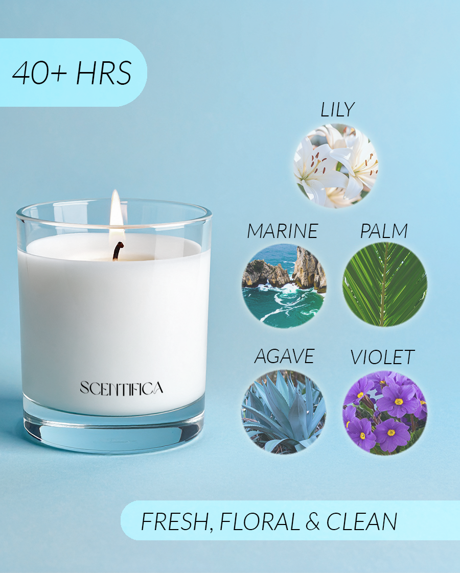 Hotel Lobby Soy Candle