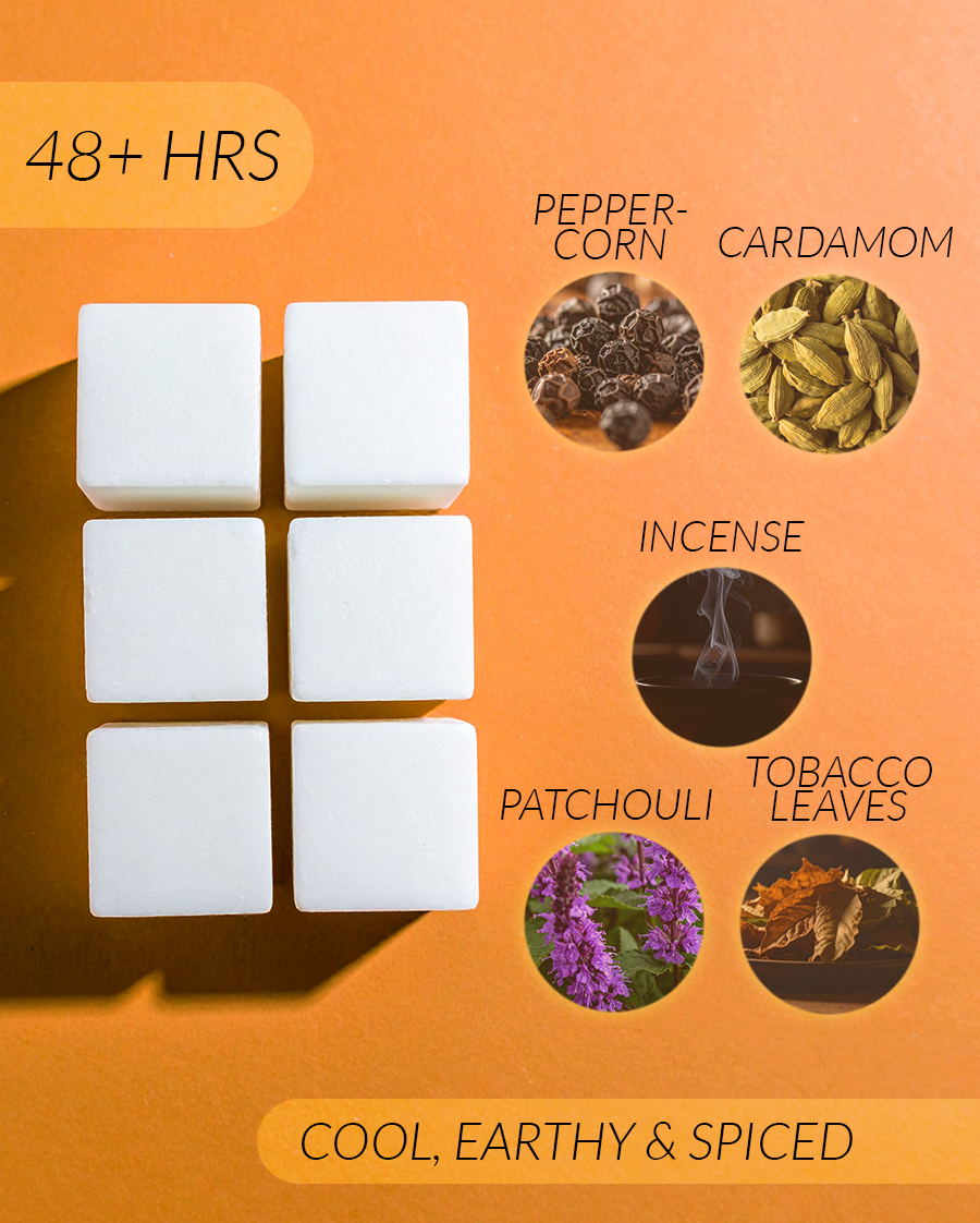 Incense + Cardamom Coconut Soy Wax Melts