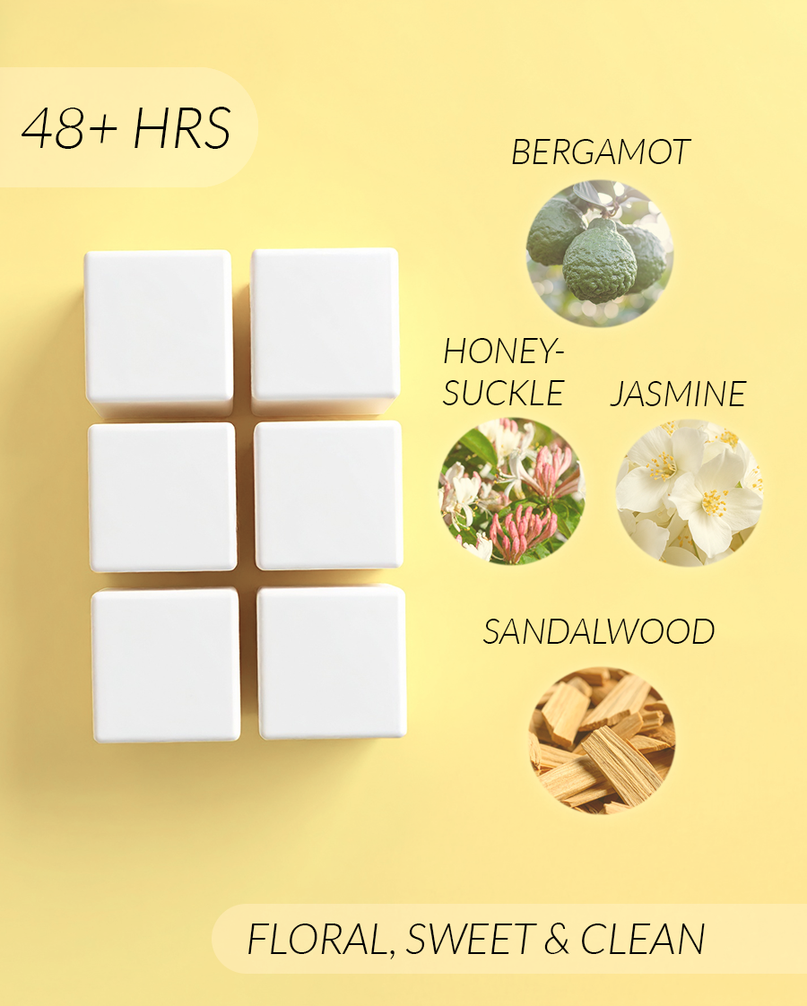 Bless Your Heart Coconut Soy Wax Melts