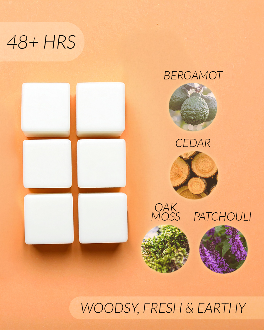 Manifest Coconut Soy Wax Melts