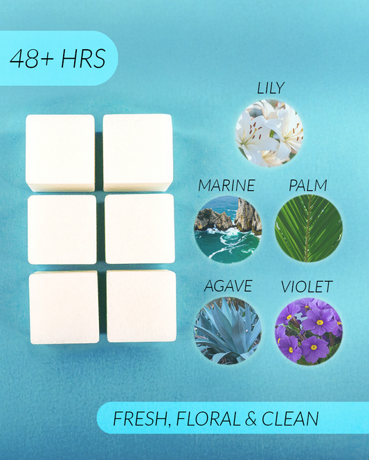 Hotel Lobby Coconut Soy Wax Melts