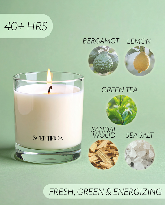 Focus Soy Candle