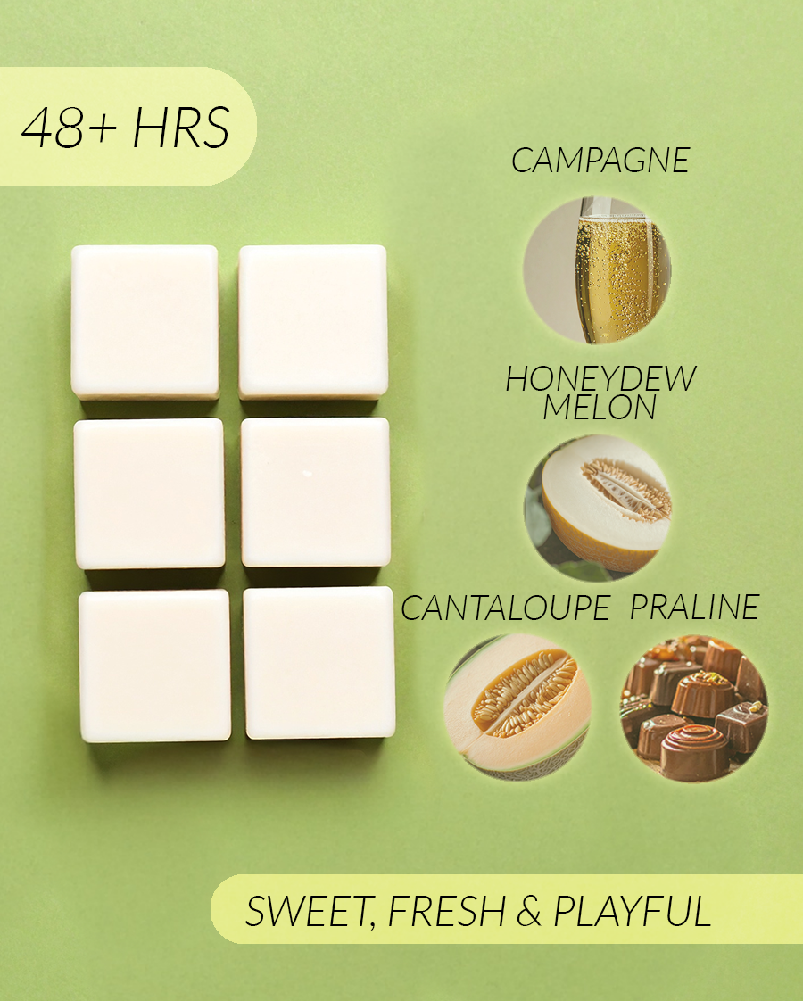 Melon + Champagne Coconut Soy wax Melts