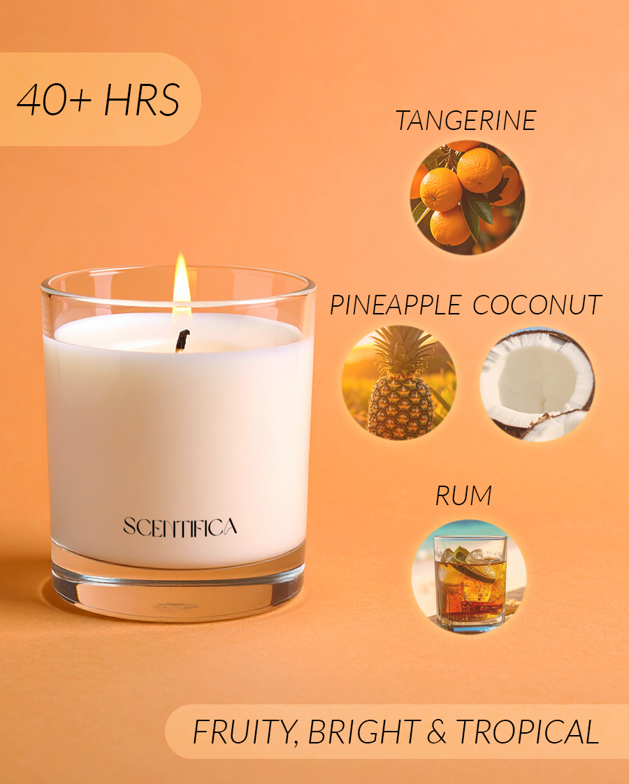 Orange + Coconut Soy Candle