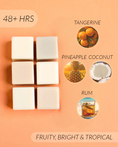 Load image into Gallery viewer, Orange + Coconut Coconut Soy Wax Melts
