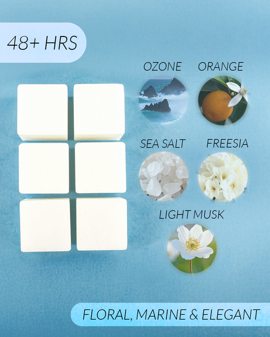 Pisces Coconut Soy Wax Melts