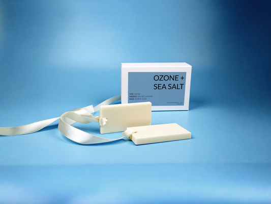 Ozone + Sea Salt Coconut Soy Wax Closet Fresheners