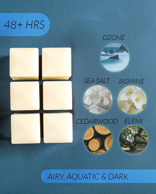 High Tide Coconut Soy Wax Melts