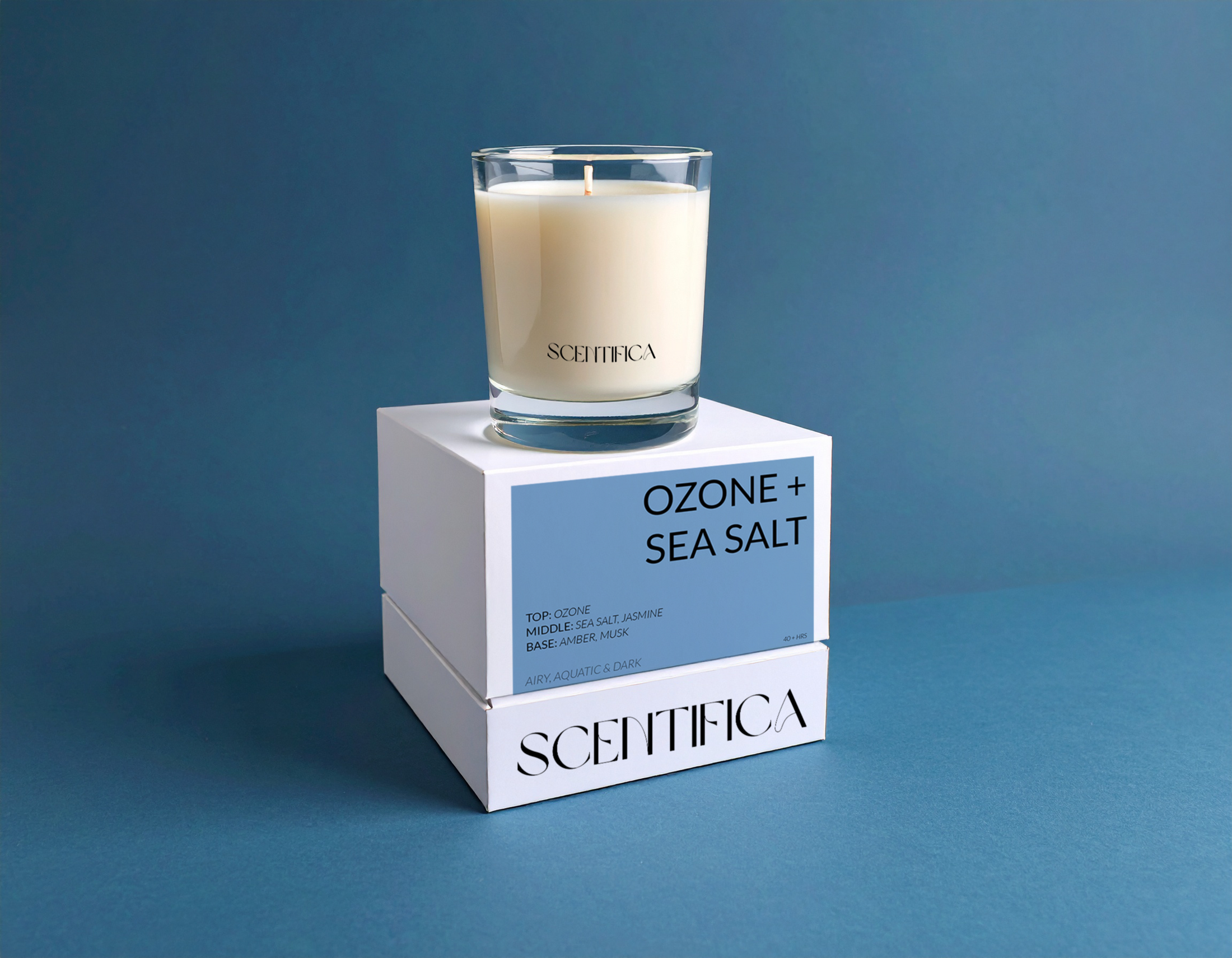 Ozone + Sea Salt Soy Candle