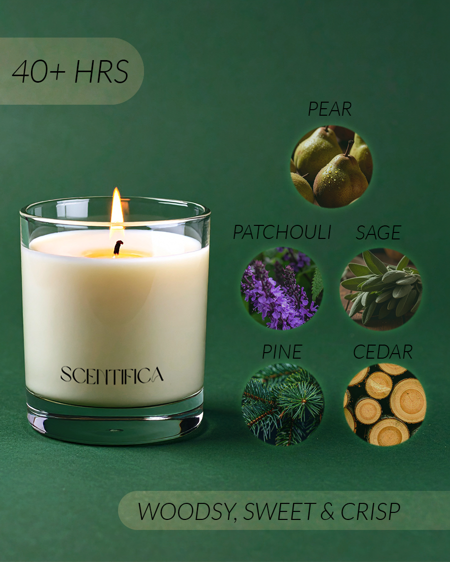 Pine + Patchouli Soy Candle