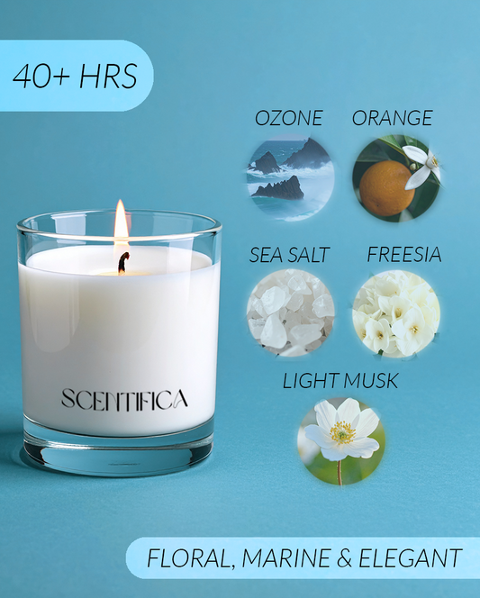 Pisces Soy Candle