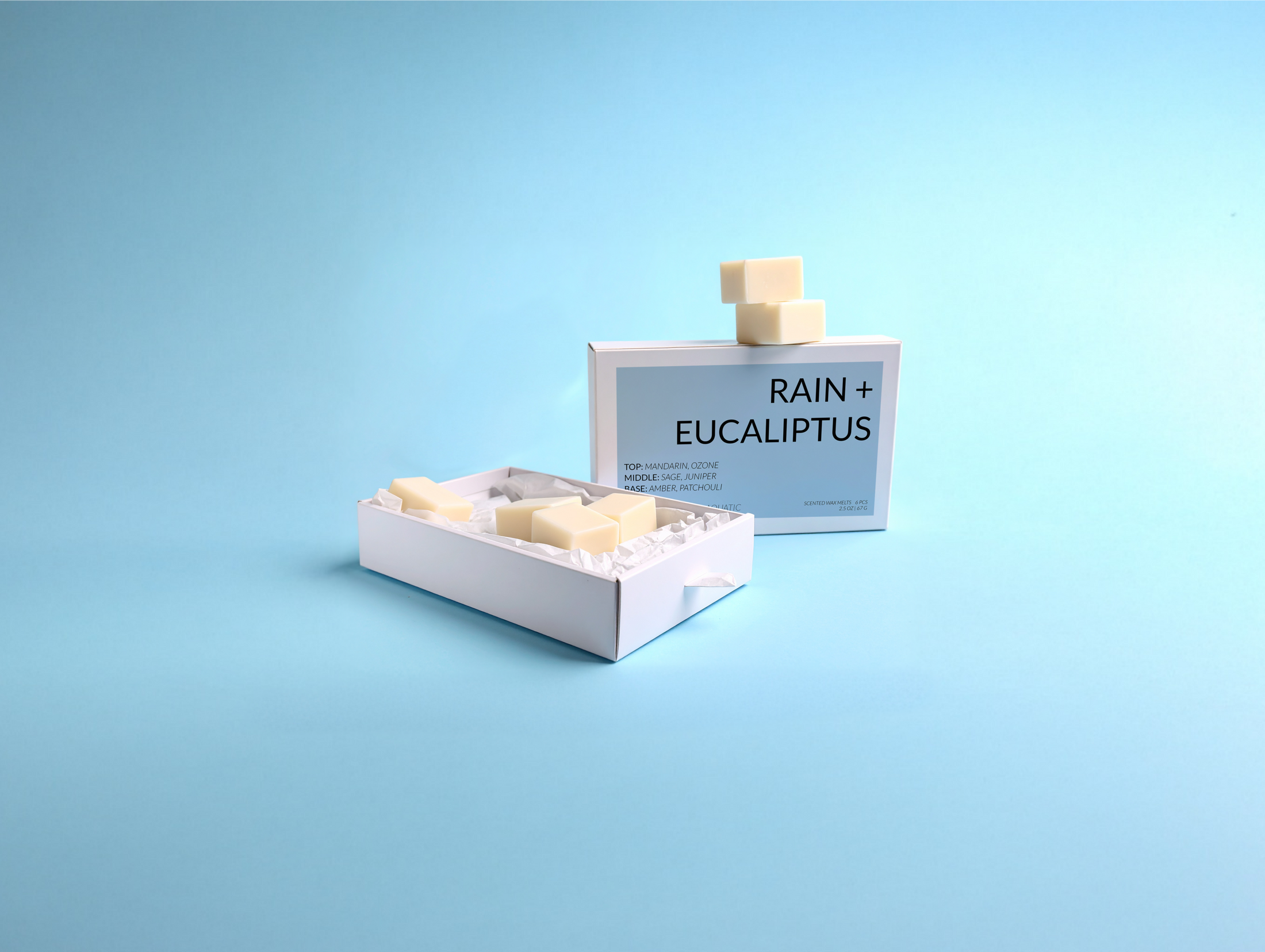 Rain + Eucalyptus Coconut Soy Wax Melts