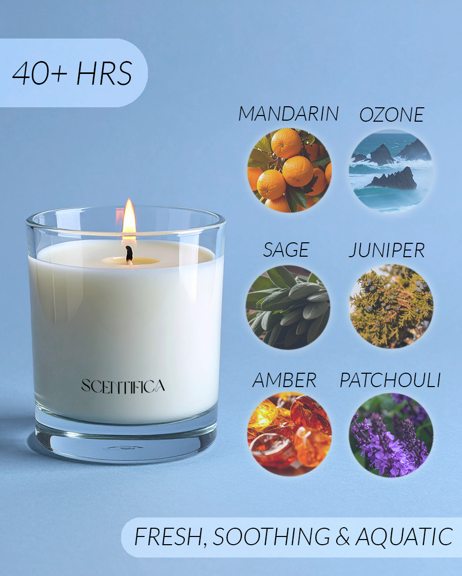 Rain + Eucalyptus Soy Candle