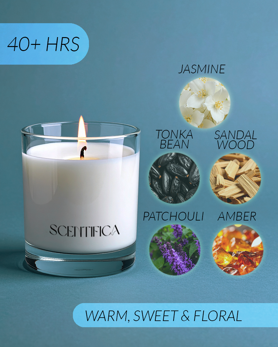 Scorpio Soy Candle