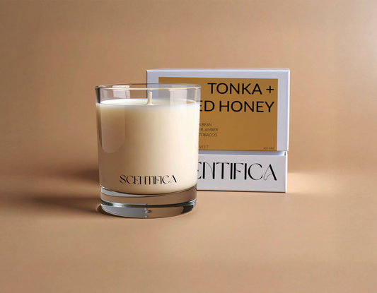 Tonka + Spiced Honey Soy Candle