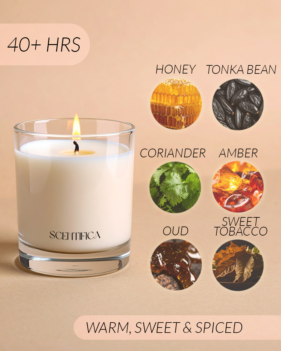 Tonka + Spiced Honey Soy Candle