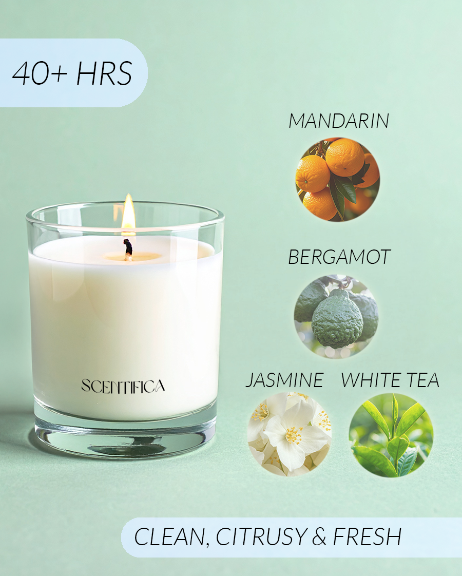 Virgo Soy Candle