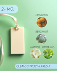 Load image into Gallery viewer, White Tea + Bergamot Coconut Soy Wax Closet Fresheners
